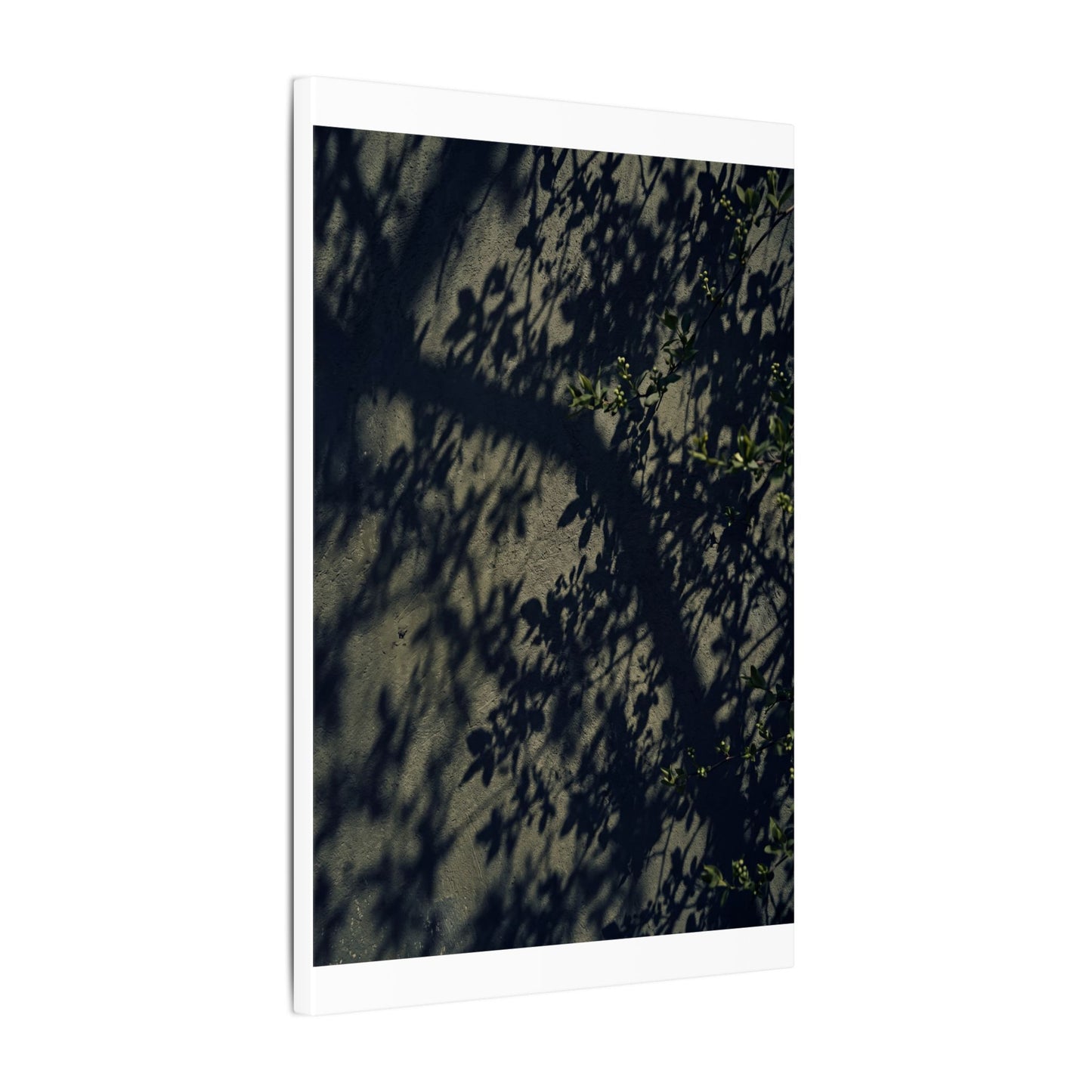 Atmospheric Shadow Play Canvas Art - Moody Minimal Dark Japandi