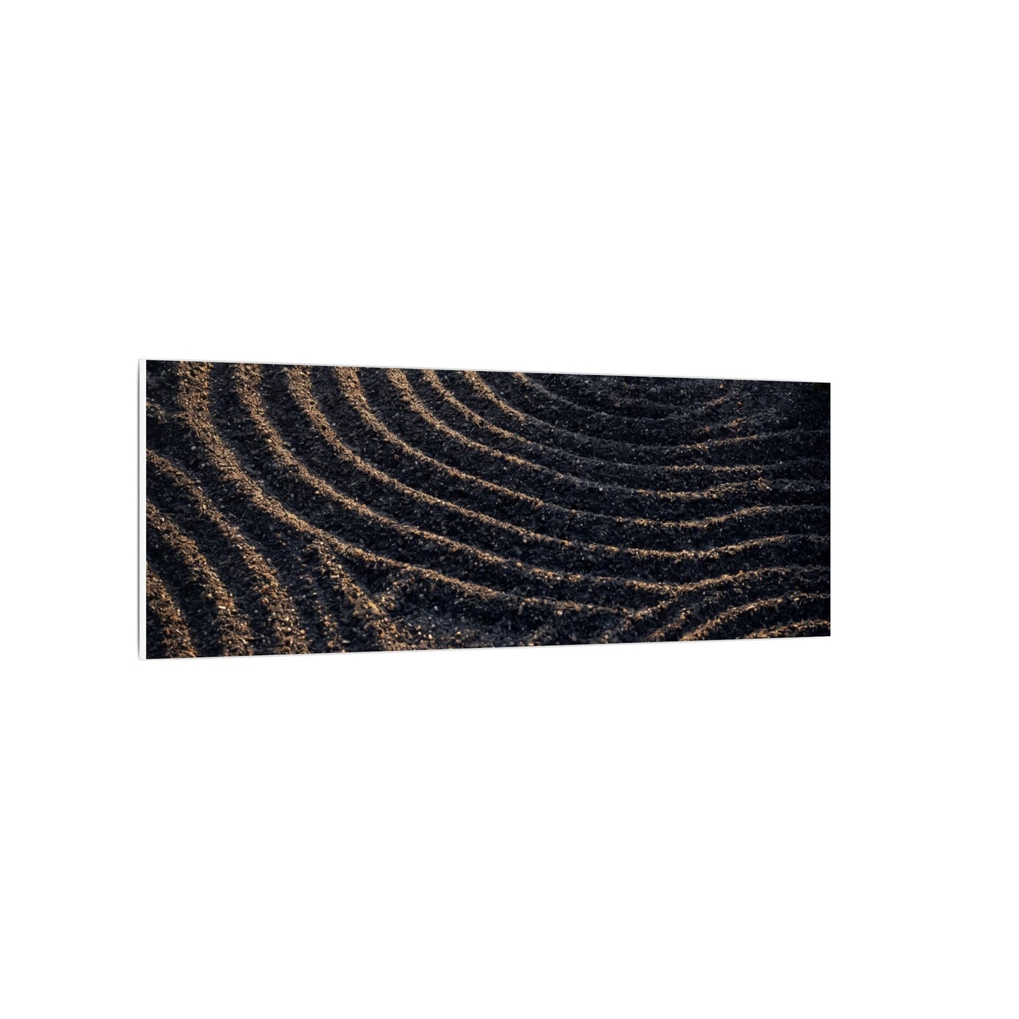 Spring Rock Garden Shadow Zen Canvas Art | Atmospheric Decor