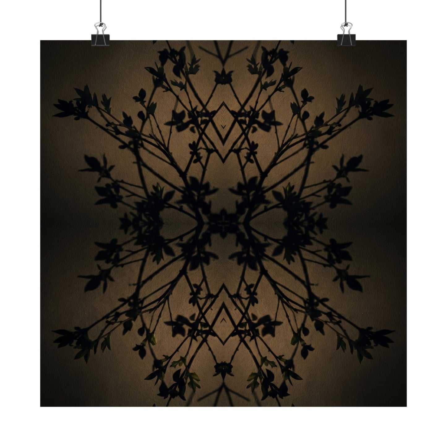 Shadow Play Wall Art Print | Spring Dark Japandi Shadow Zen Art
