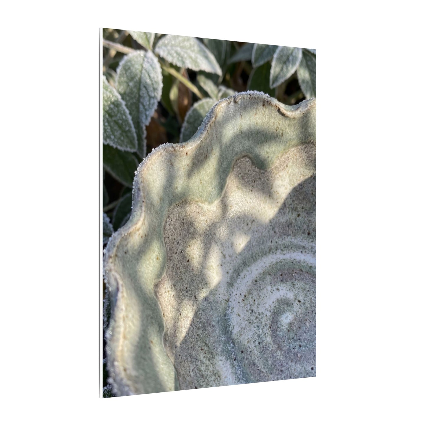 Dappled Ceramic Bowl Canvas Art - Japandi Seijaku