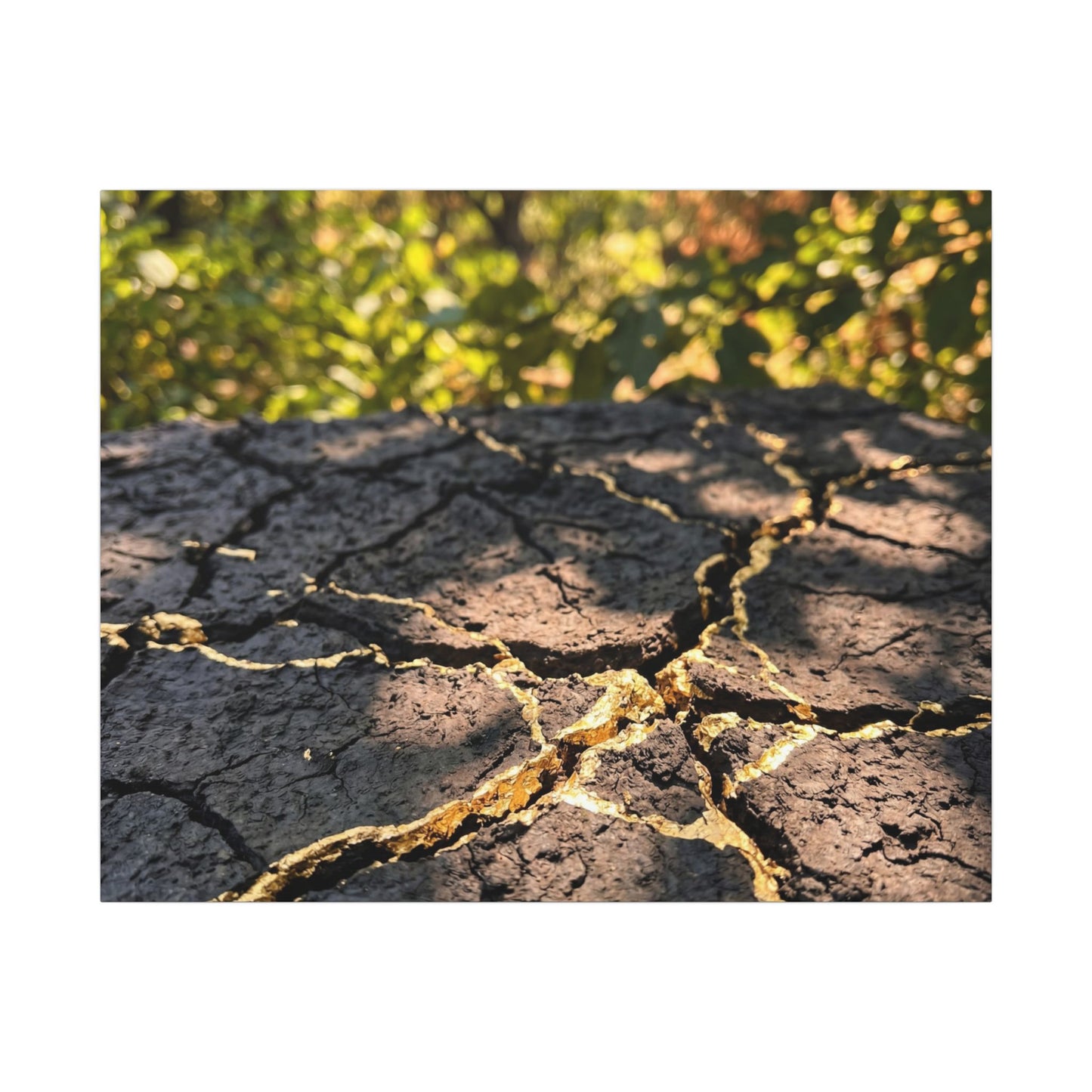Shibui Cracked Earth Canvas Art - Kintsugi Gold Repair