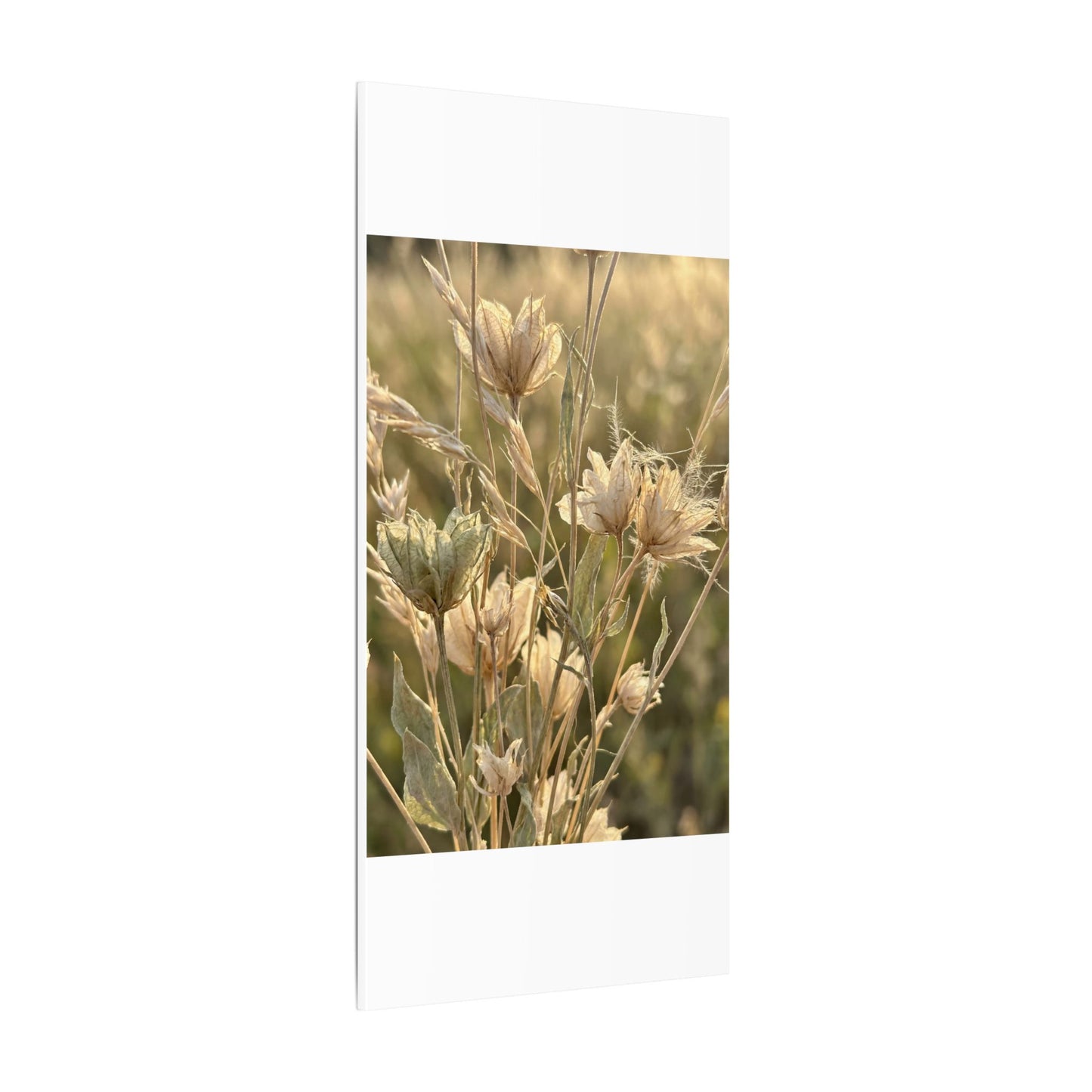 Summer Dried Flowers Minimal Line Canvas Art | Cozy Decor