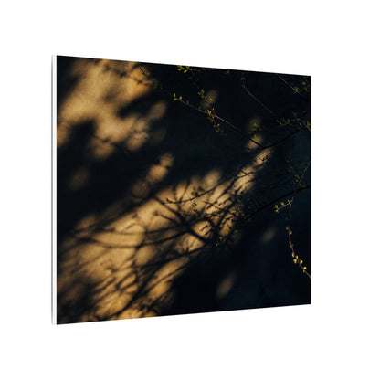 Moody Shadow Play Canvas Art - Moody Minimal Dark Japandi