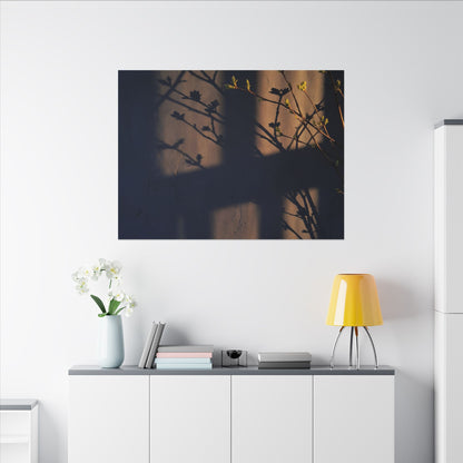 Shadow Play Canvas Art | Spring Dark Japandi Shadow Zen Art
