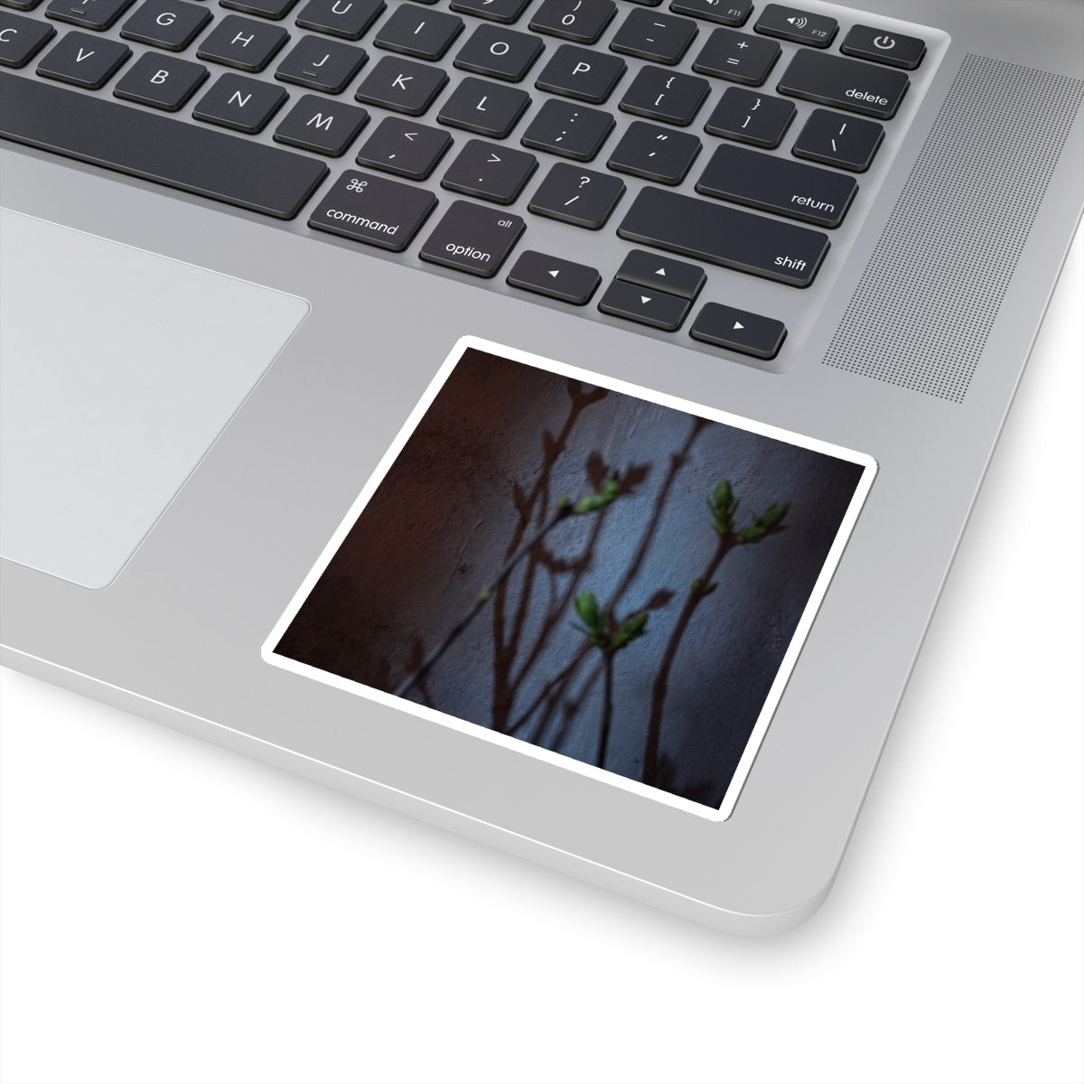 Shadow Play Spring Sticker | Dark Japandi Moody Design