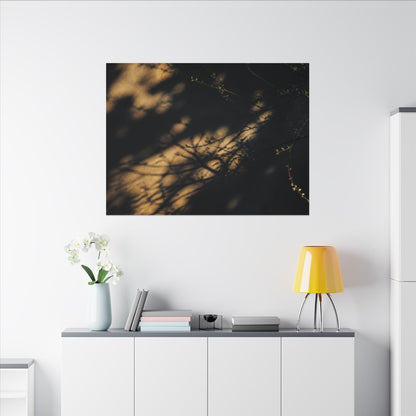 Moody Shadow Play Canvas Art - Moody Minimal Dark Japandi