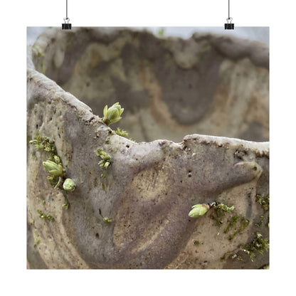 Overcast Ceramic Bowl Wall Art Print - Japandi Fukinsei