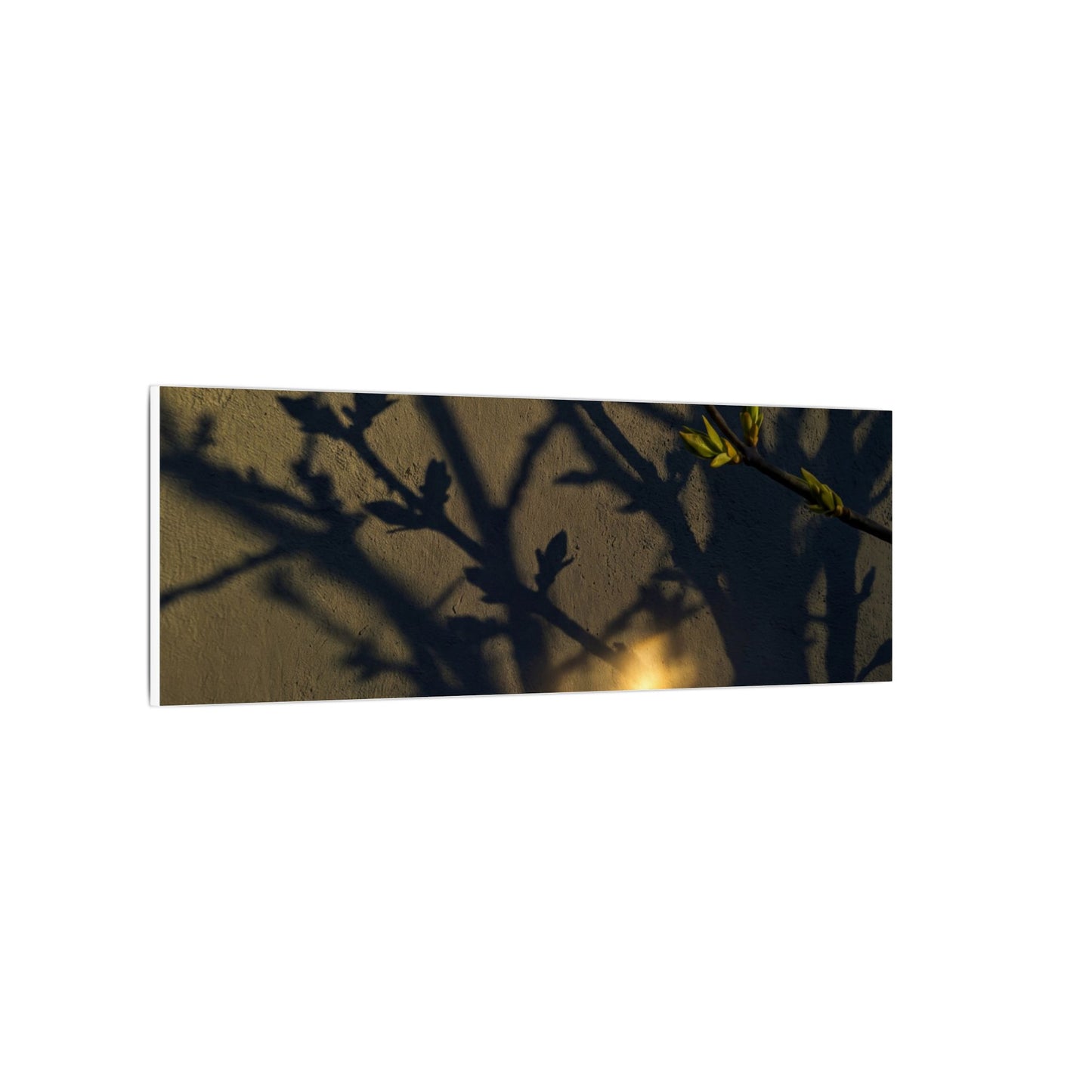 Bold Shadow Play Canvas Art - Moody Minimal Dark Japandi