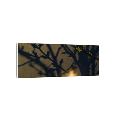 Bold Shadow Play Canvas Art - Moody Minimal Dark Japandi