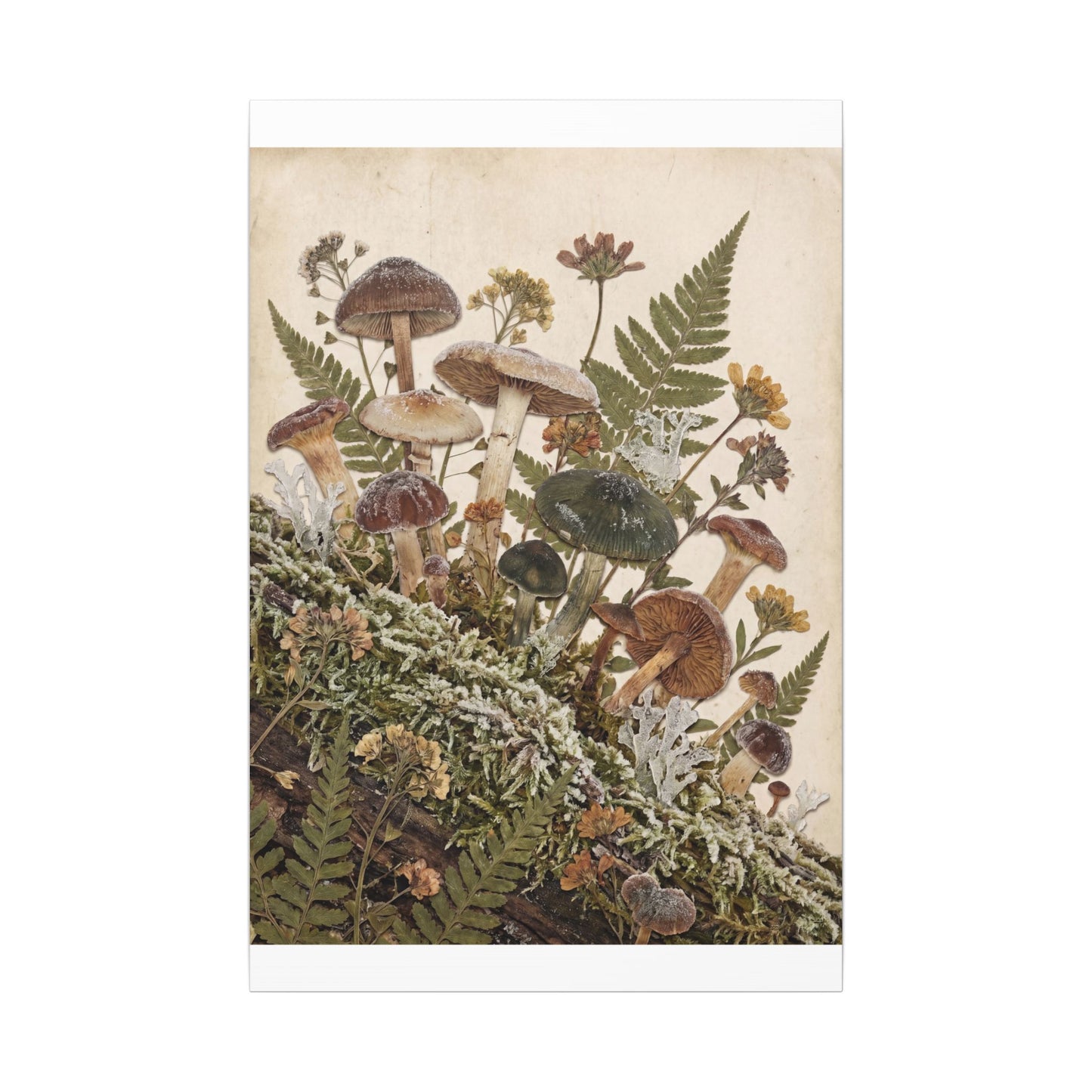 Winter Wild Mushrooms Herbarium Canvas Art | Enchanting Decor