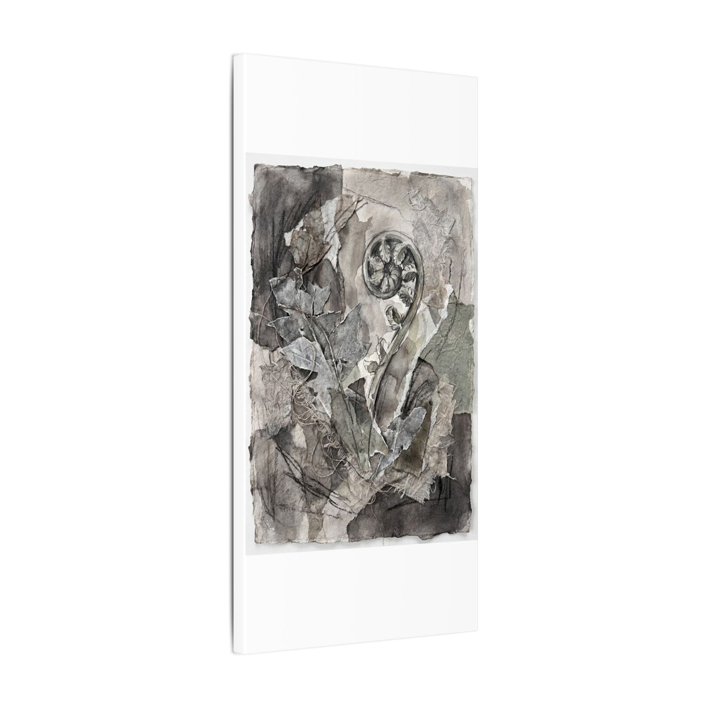 Japandi Fern Unfurling in Overcast | Texture Canvas Art
