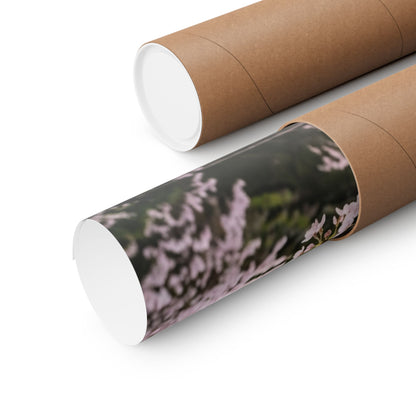 Golden Hour Ceramic Bowl Wall Art Print - Japandi Shibui