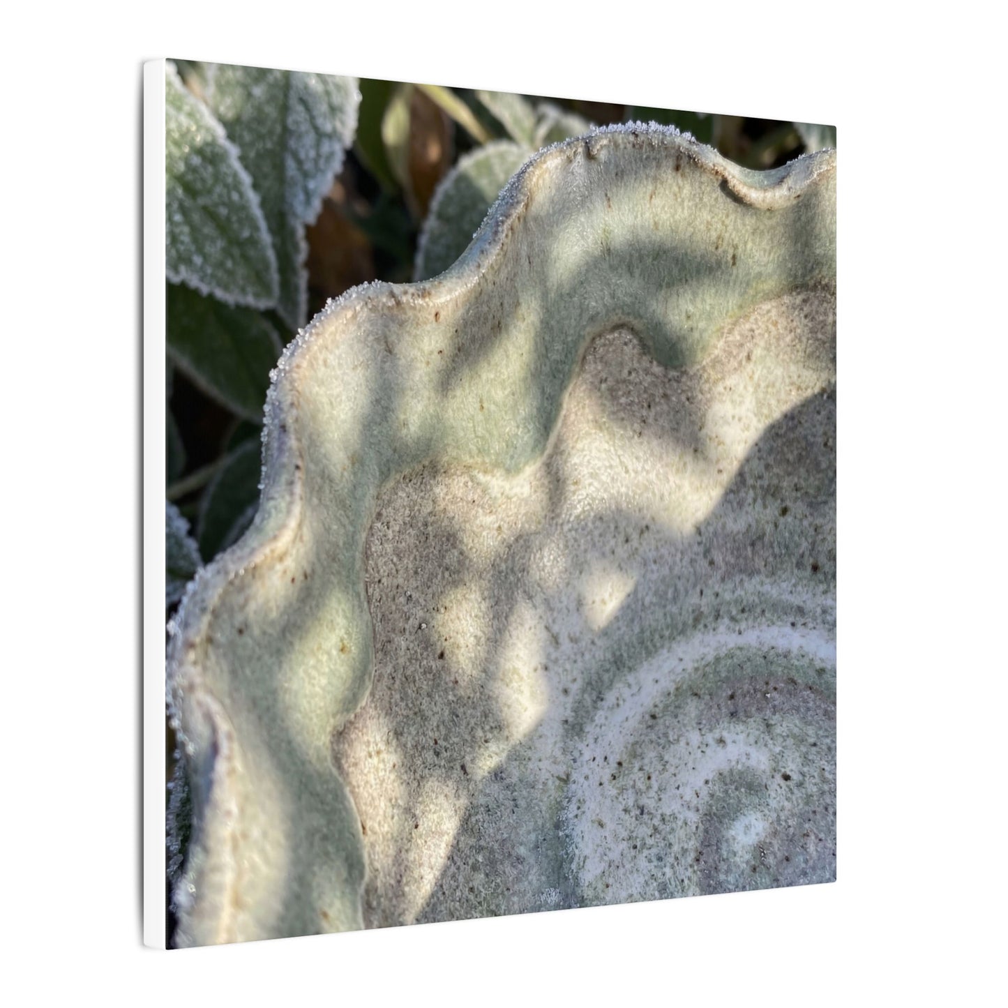 Dappled Ceramic Bowl Canvas Art - Japandi Seijaku