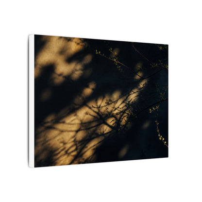Moody Shadow Play Canvas Art - Moody Minimal Dark Japandi