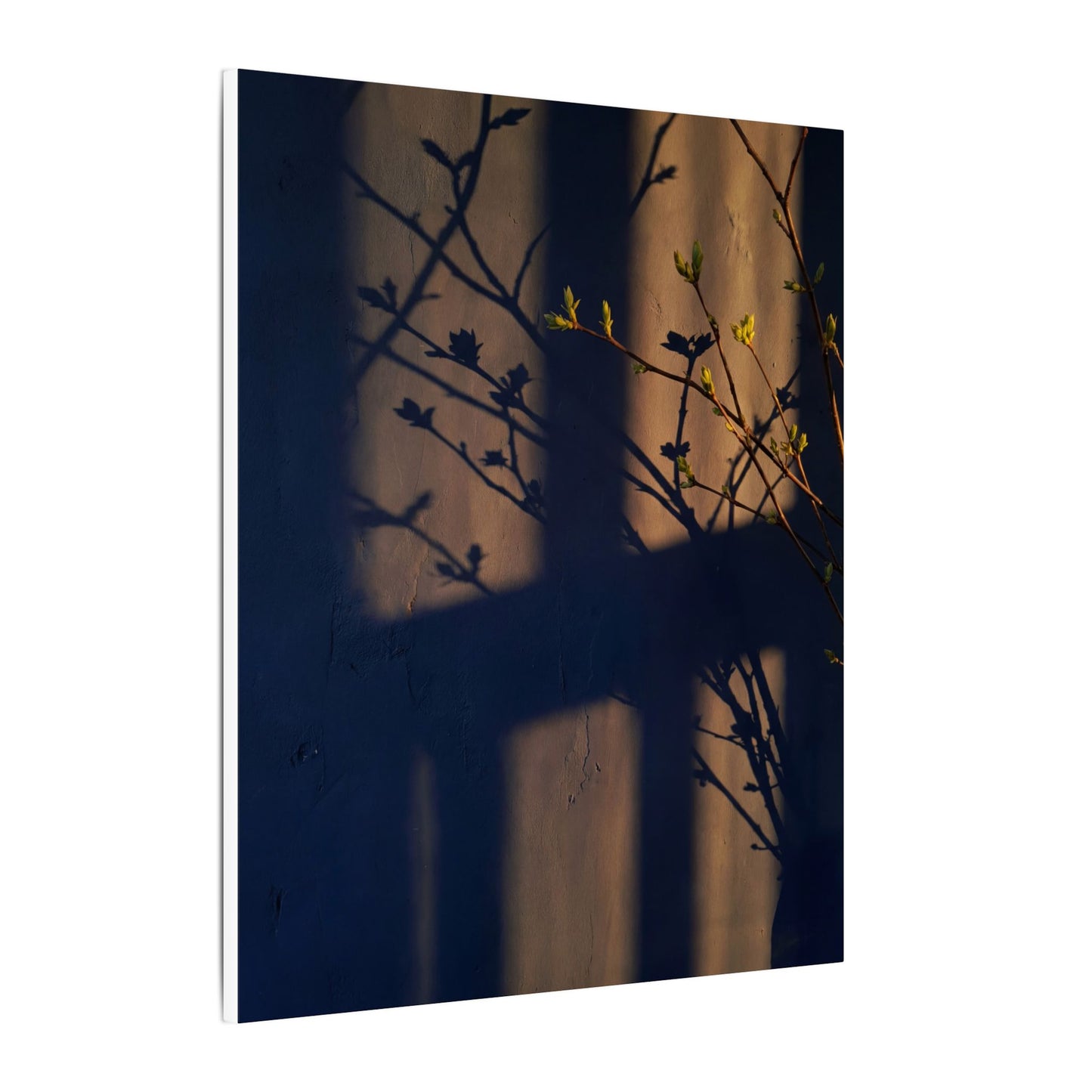 Shadow Play Canvas Art | Spring Dark Japandi Shadow Zen Art