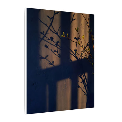 Shadow Play Canvas Art | Spring Dark Japandi Shadow Zen Art