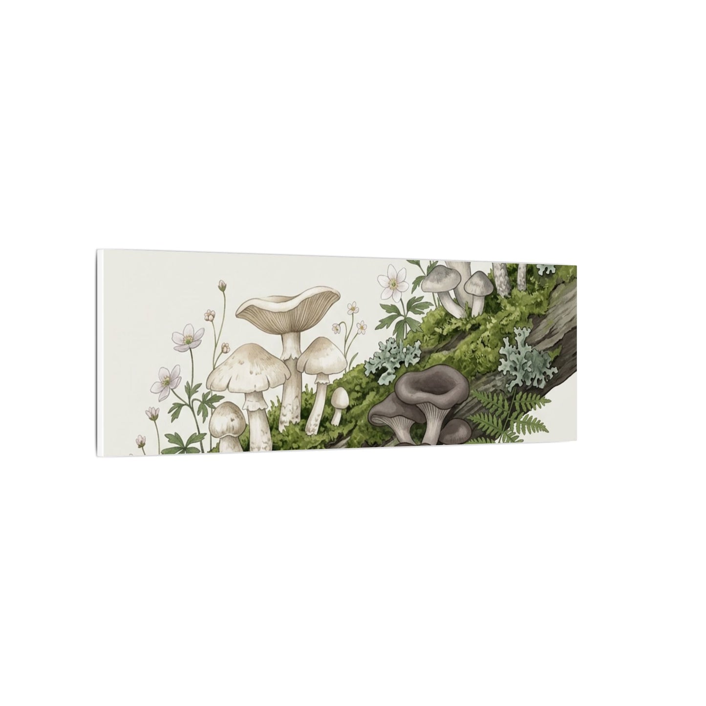 Dappled Wild Mushrooms Canvas Art - Japandi Ma