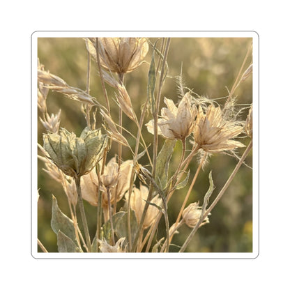 Dried Flowers Summer Sticker | Japandi Elegant Design Art Print