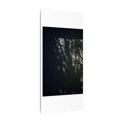 Dark Japandi Shoji Screen in Dappled | Moody Minimal Canvas Art