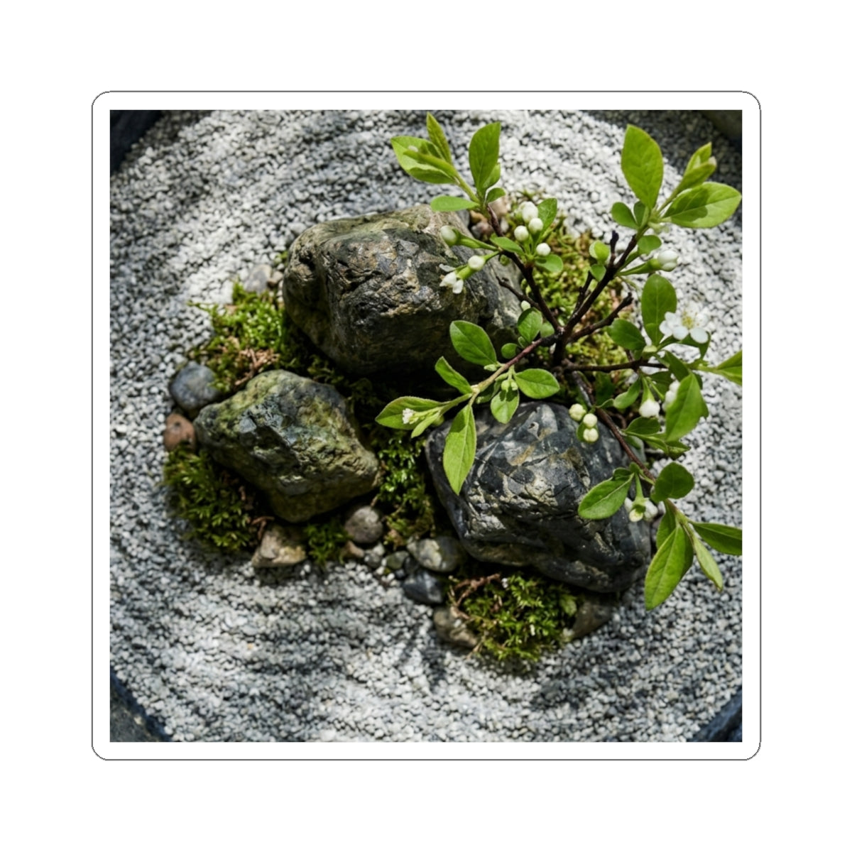 Spring Ceramic Bowl Karesansui Sticker | Serene Decor