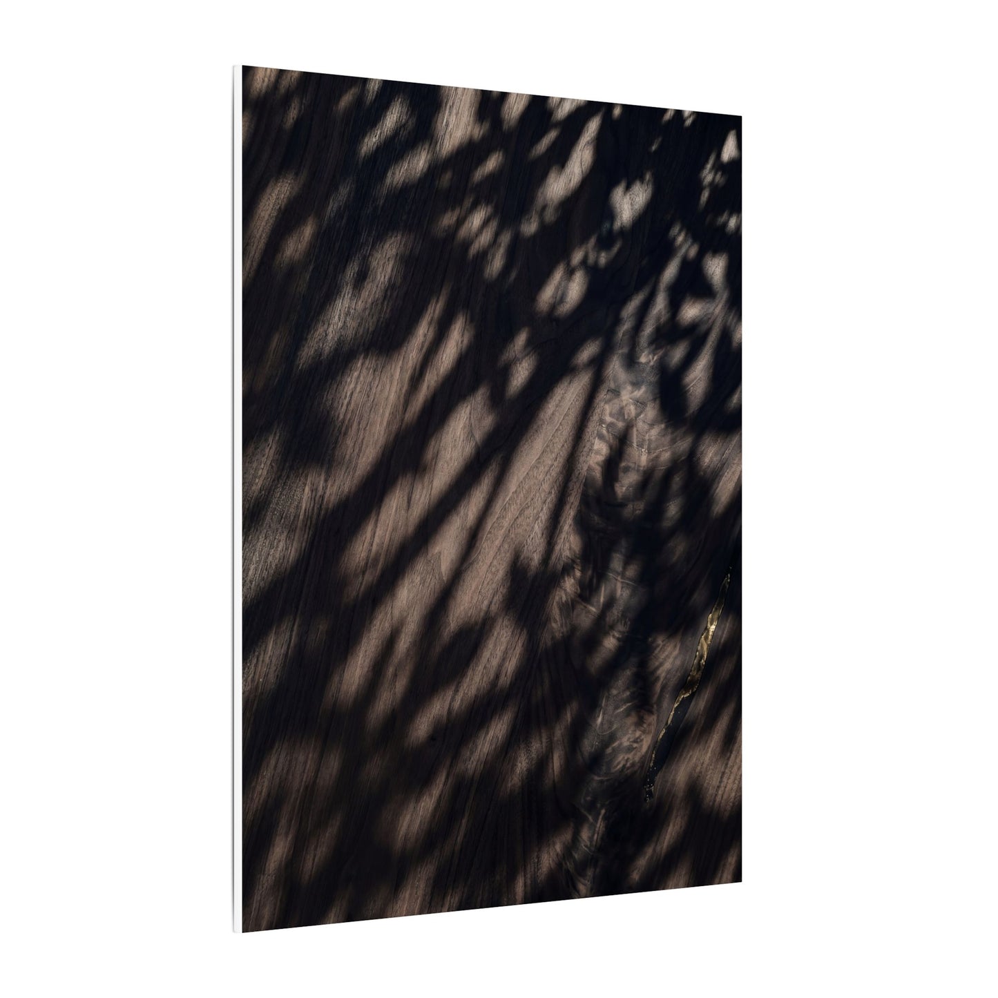 Shadow Play Summer Canvas Art | Dark Japandi Moody Design