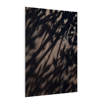 Shadow Play Summer Canvas Art | Dark Japandi Moody Design