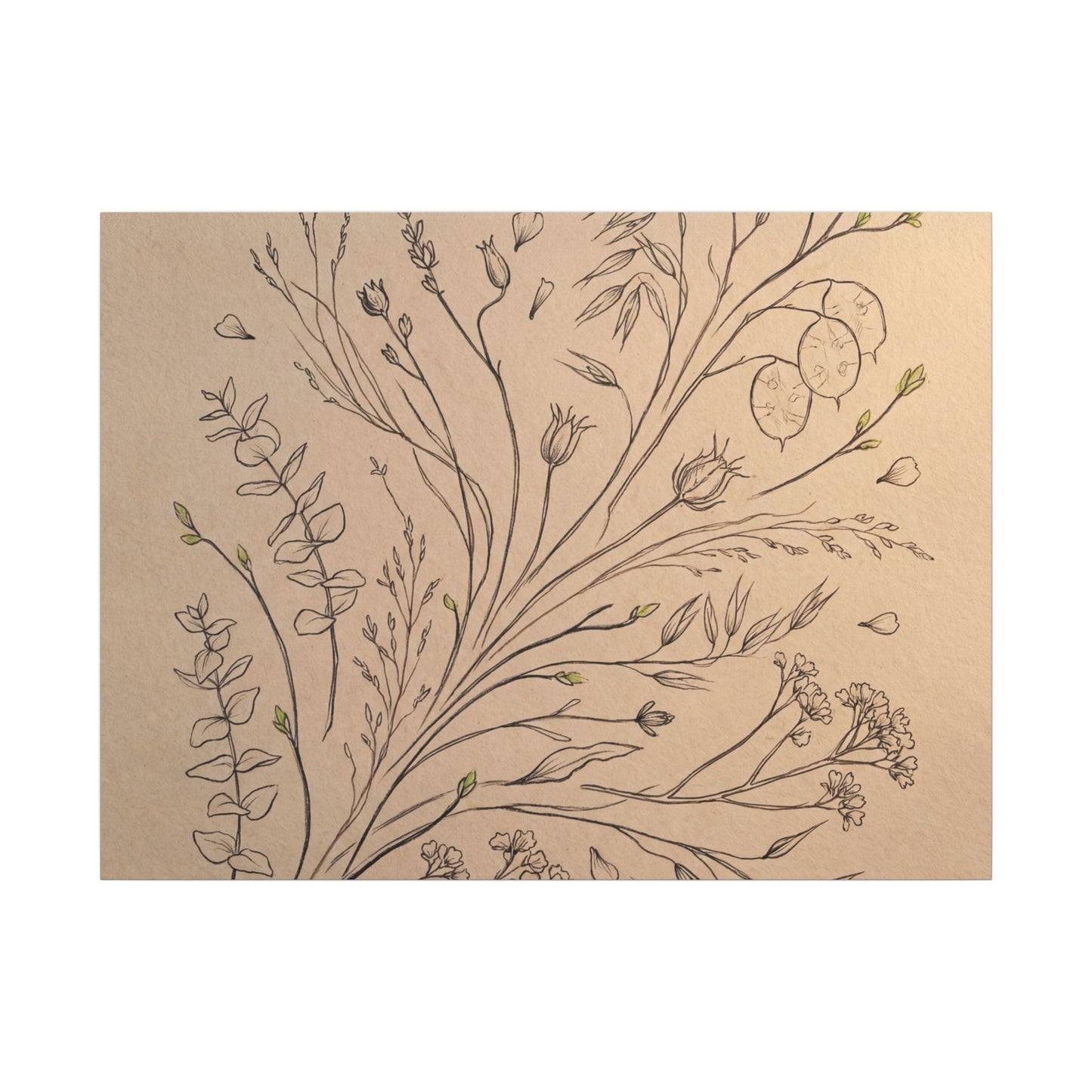 Japandi Dried Flowers in Golden Hour | Minimal Line Canvas Art Art Print