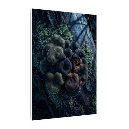 Wild Mushrooms Moody Minimal Canvas Art | Moody Dark Japandi Art