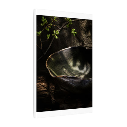 Sophisticated Ceramic Bowl Canvas Art - Dark Texture Dark Japandi