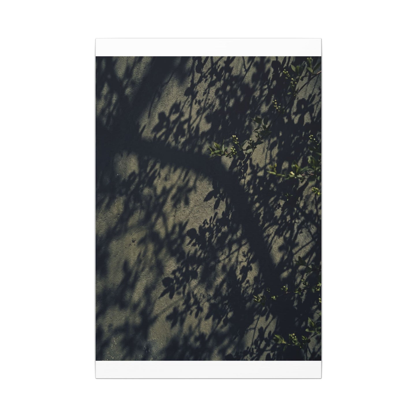 Atmospheric Shadow Play Canvas Art - Moody Minimal Dark Japandi