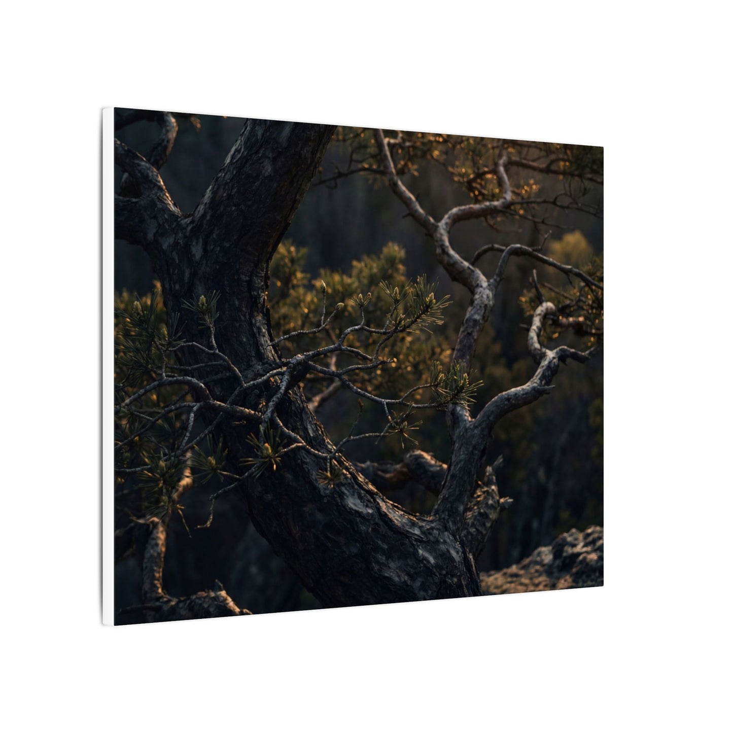 Moody Pine Tree Canvas Art - Moody Minimal Dark Japandi