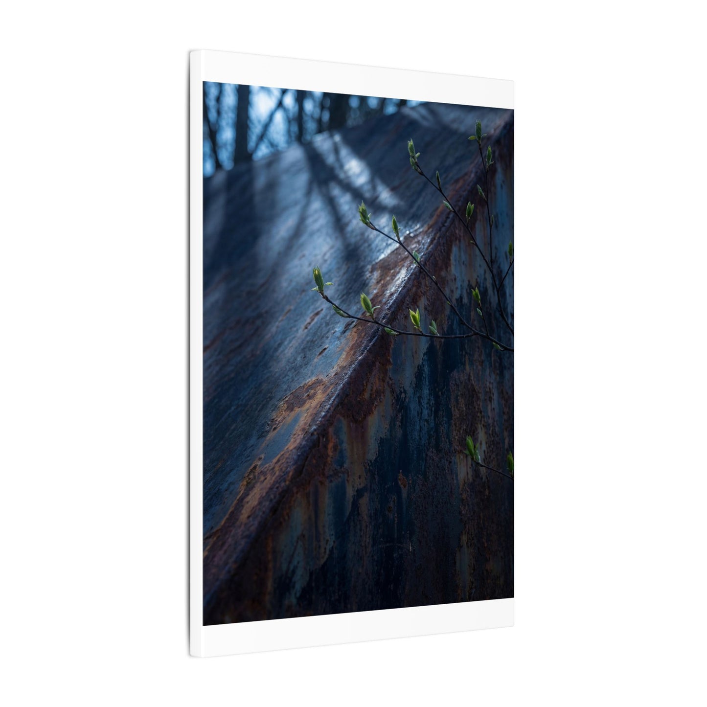Rust Patina Canvas Art | Spring Dark Japandi Shadow Zen Art