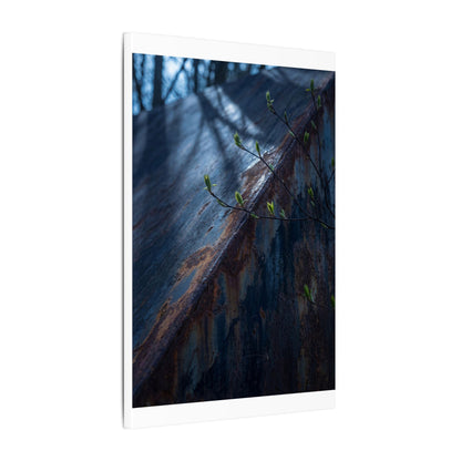 Rust Patina Canvas Art | Spring Dark Japandi Shadow Zen Art
