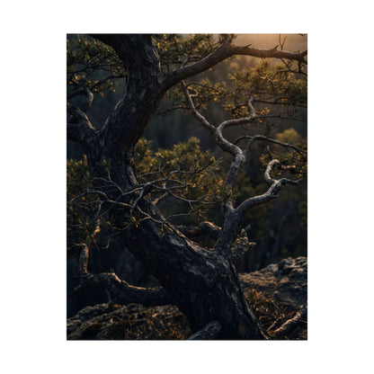 Pine Tree Spring Wall Art Print | Dark Japandi Sophisticated Design