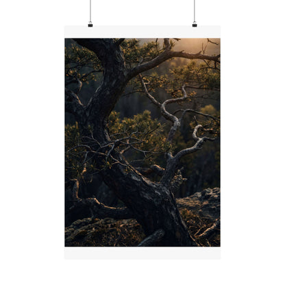Pine Tree Spring Wall Art Print | Dark Japandi Sophisticated Design Art Print
