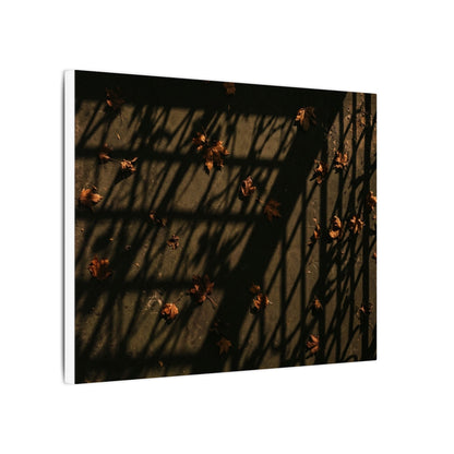 Shadow Play Canvas Art | Autumn Dark Japandi Moody Minimal Art