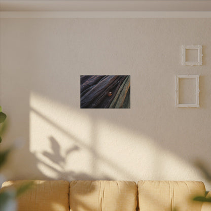 Silk Drape Shadow Zen Canvas Art | Moody Dark Japandi Art