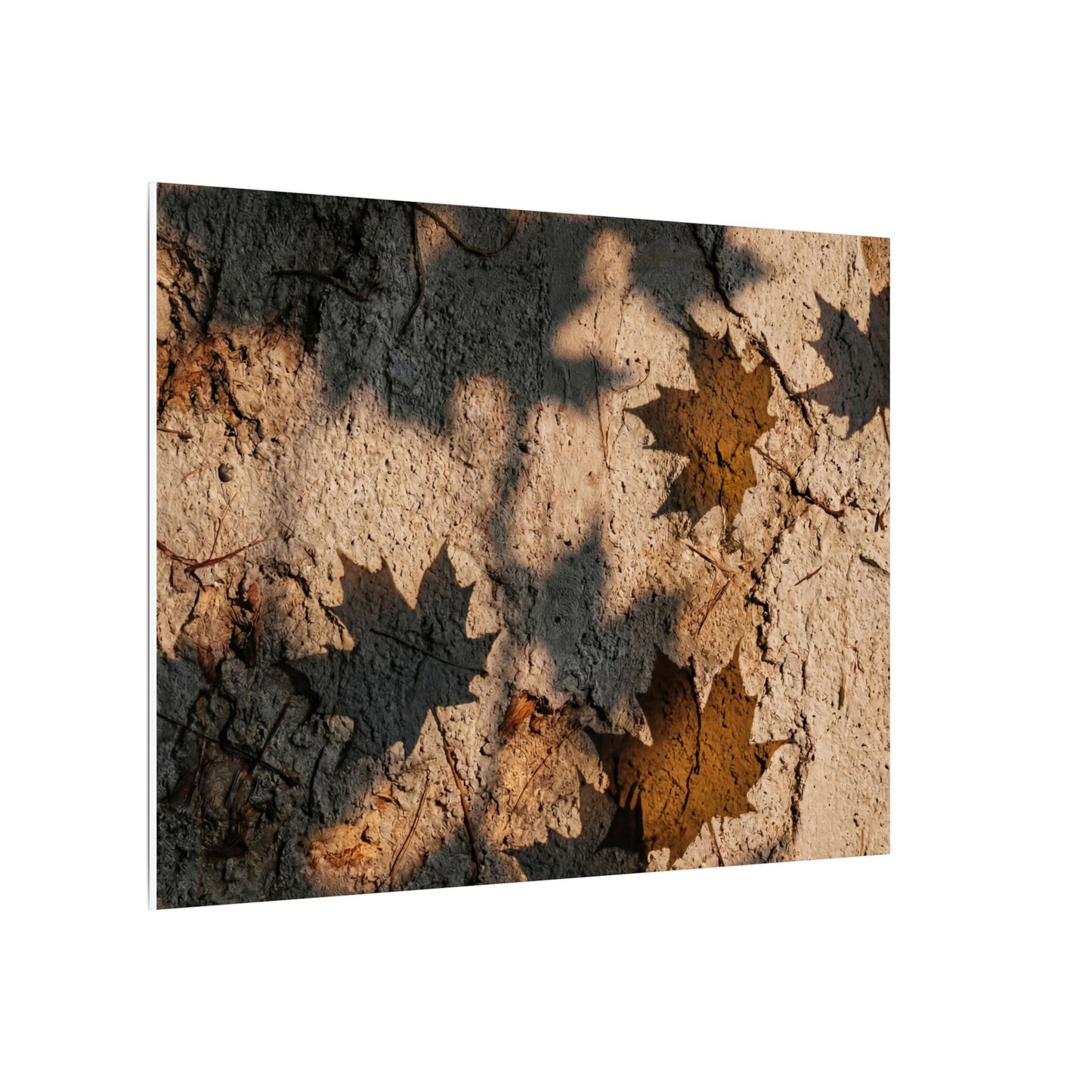 Cozy Shadow Play Canvas Art - Texture Japandi