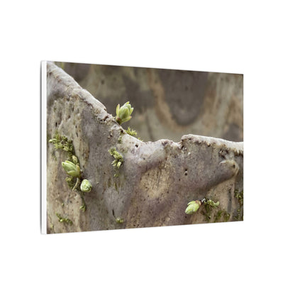 Overcast Ceramic Bowl Canvas Art - Japandi Fukinsei