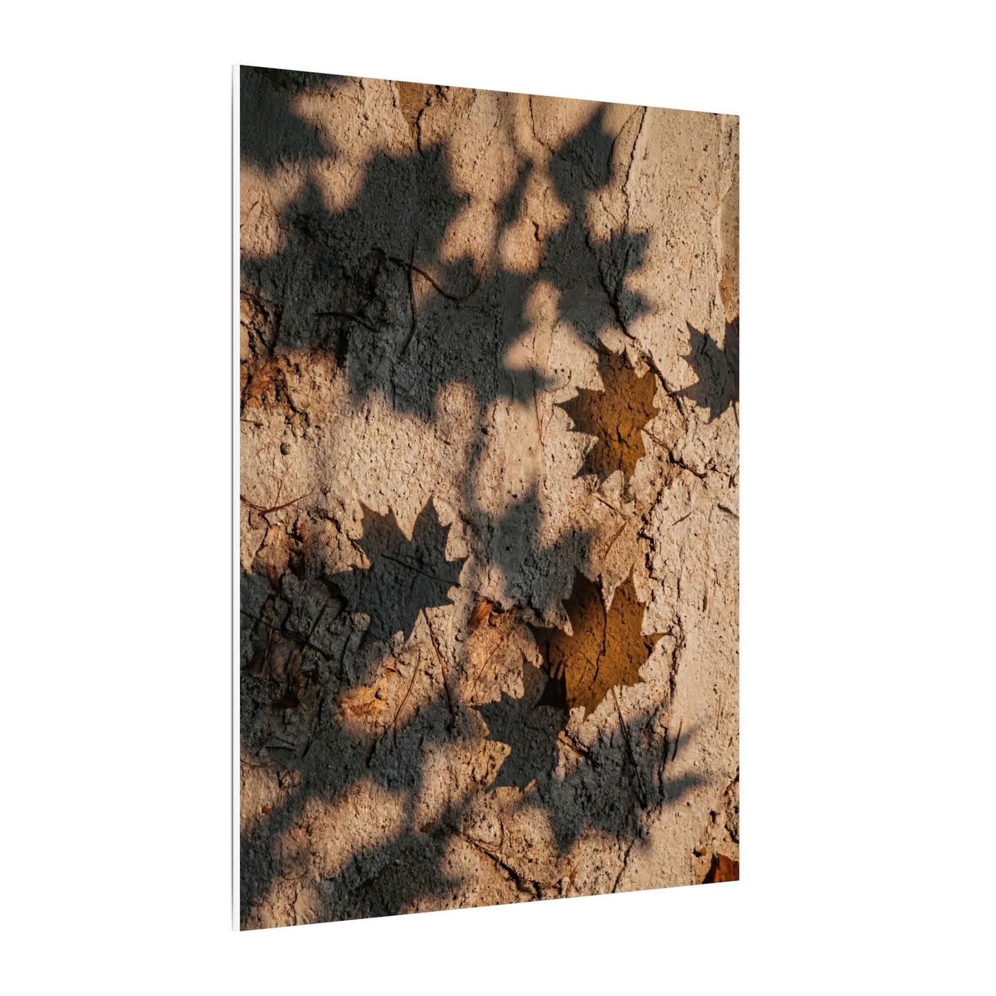 Cozy Shadow Play Canvas Art - Texture Japandi