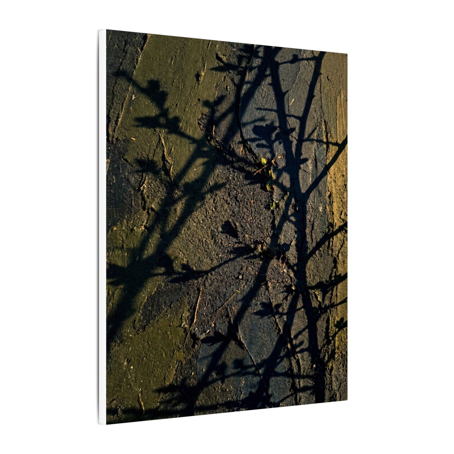 Kanso Shadow Play Canvas Art - Dark Japandi Dark Texture