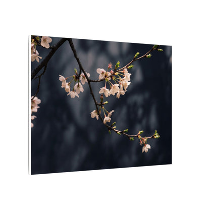 Cherry Blossom Moody Minimal Canvas Art | Bold Dark Japandi Art