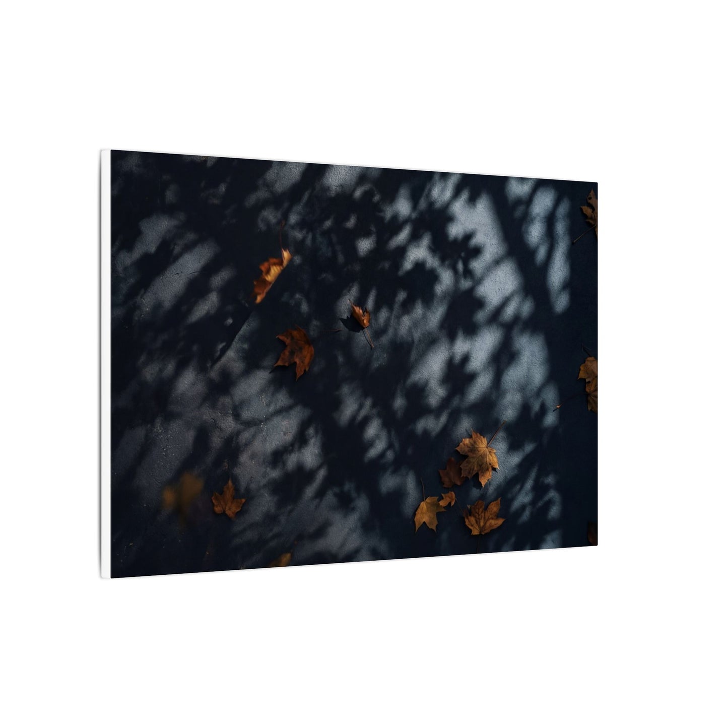 Autumn Shadow Play Shadow Zen Canvas Art | Atmospheric Decor