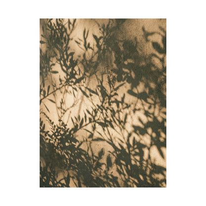 Shibui Shadow Play Wall Art Print - Japandi Minimal Line