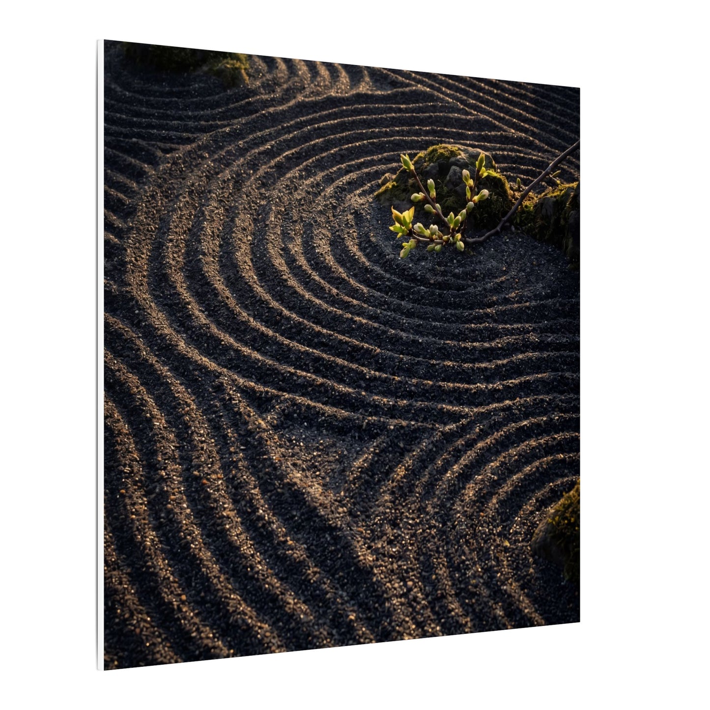 Spring Rock Garden Shadow Zen Canvas Art | Atmospheric Decor
