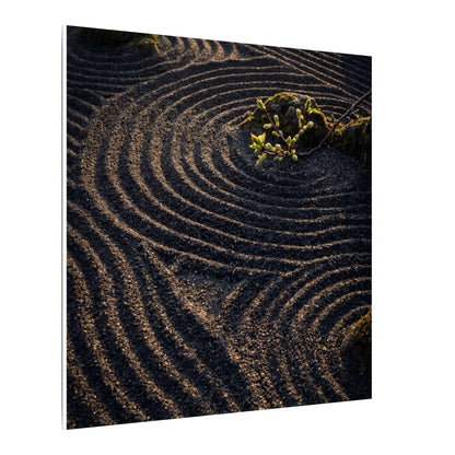 Spring Rock Garden Shadow Zen Canvas Art | Atmospheric Decor