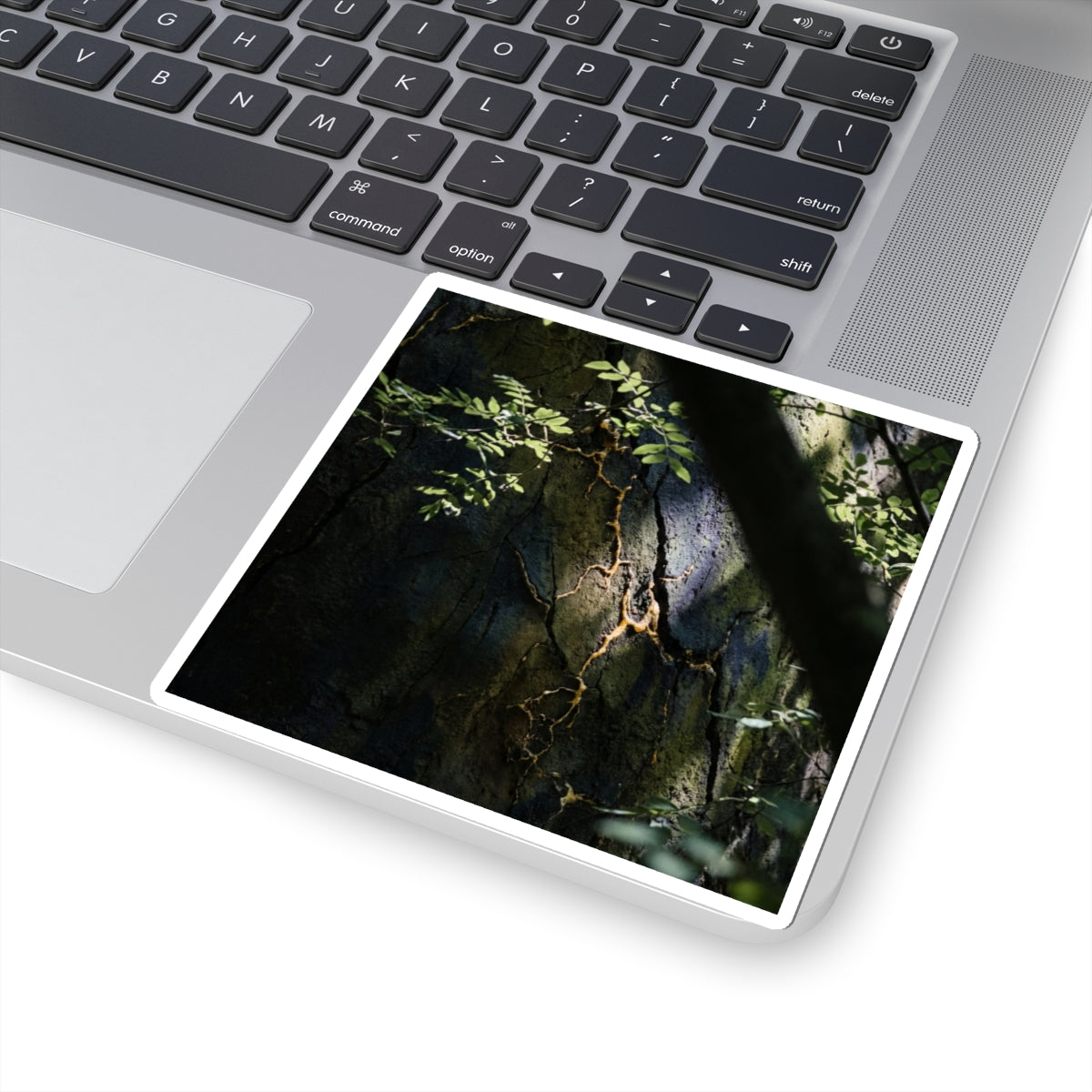 Dappled Cracked Earth Sticker - Dark Japandi Ma