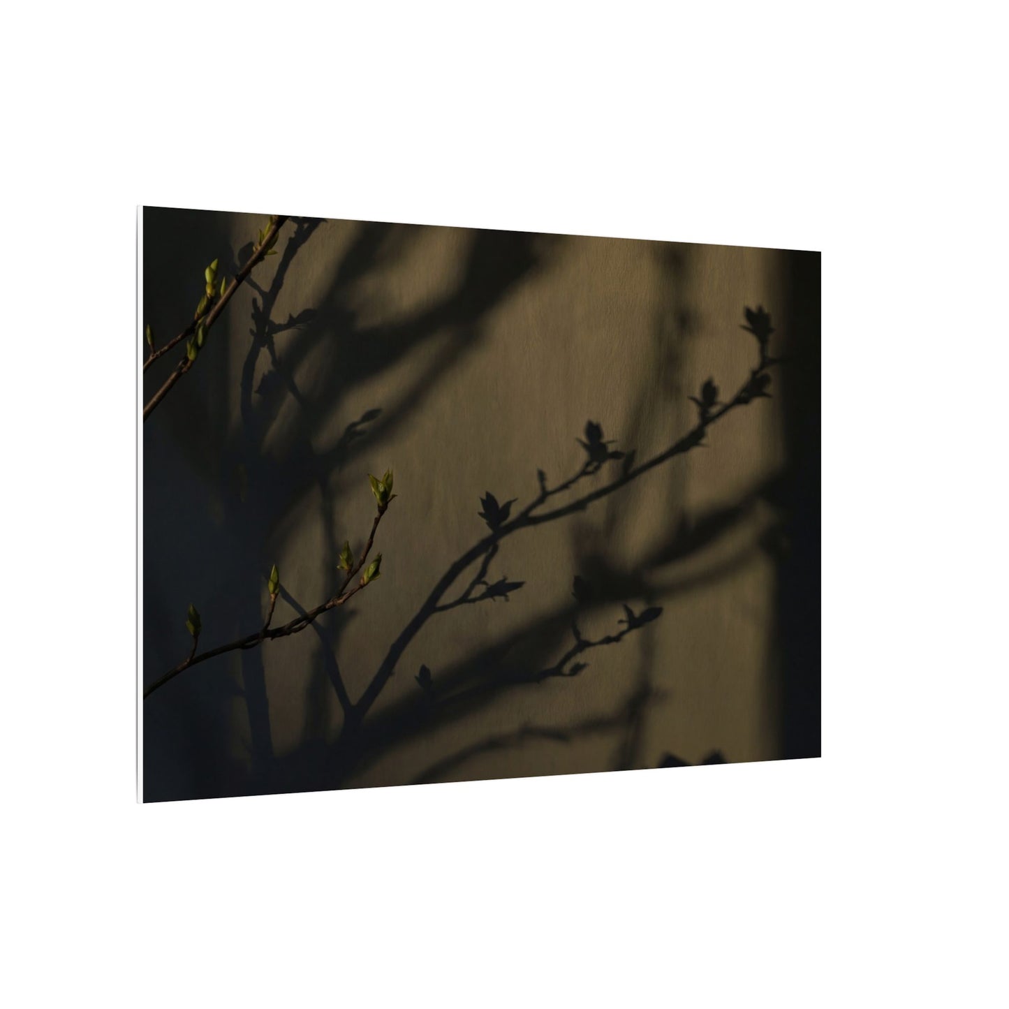 Seijaku Shadow Play Canvas Art - Dark Japandi Charcoal Ink