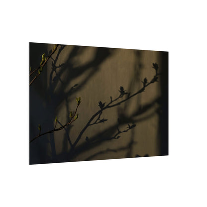 Seijaku Shadow Play Canvas Art - Dark Japandi Charcoal Ink