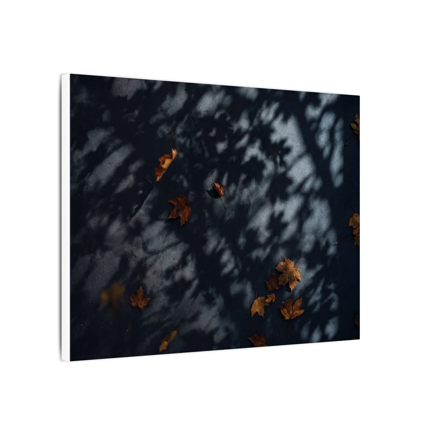 Autumn Shadow Play Shadow Zen Canvas Art | Atmospheric Decor